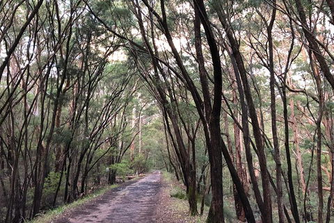 3d/2n Themed Camping Getaway - Private Campgrounds And National Parks - Accommodation Kalgoorlie 9