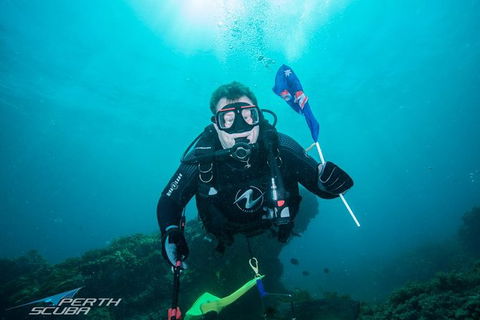 Rottnest Island Scuba Diving From Fremantle - Accommodation Kalgoorlie 1
