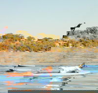 Stand-Up Paddleboarding Lesson plus Guided Paddle on Perth's Swan River - Accommodation Kalgoorlie