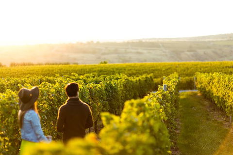 Margaret River Private Tour - Accommodation Kalgoorlie 2