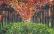 Margaret River Private Tour - thumb 6