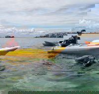 Seal Island and Penguin Island or Point Peron Sea Kayak Tour - Accommodation Kalgoorlie