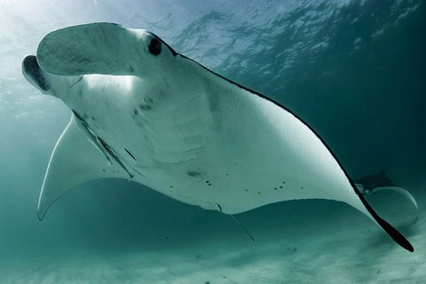 6-Day Coral Coaster From Perth To Exmouth One-Way Via Monkey Mia Ningaloo Reef - Accommodation Kalgoorlie 1
