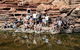 6-Day Coral Coaster From Perth To Exmouth One-Way Via Monkey Mia Ningaloo Reef - thumb 3