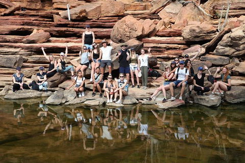 6-Day Coral Coaster From Perth To Exmouth One-Way Via Monkey Mia Ningaloo Reef - Accommodation Kalgoorlie 3