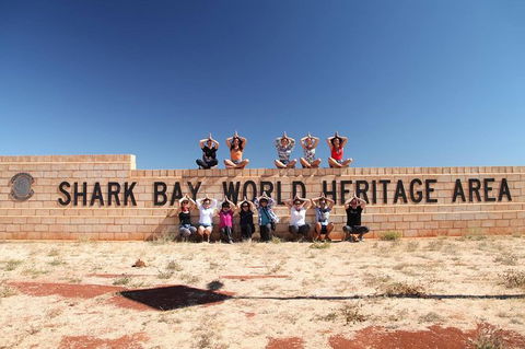 6-Day Coral Coaster From Perth To Exmouth One-Way Via Monkey Mia Ningaloo Reef - Accommodation Kalgoorlie 13