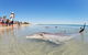 6-Day Coral Coaster From Perth To Exmouth One-Way Via Monkey Mia Ningaloo Reef - thumb 9