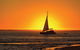 6-Day Coral Coaster From Perth To Exmouth One-Way Via Monkey Mia Ningaloo Reef - thumb 6