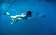 6-Day Coral Coaster From Perth To Exmouth One-Way Via Monkey Mia Ningaloo Reef - thumb 10