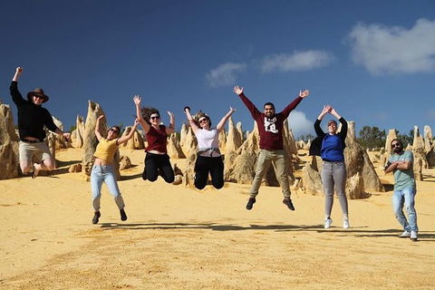6-Day Coral Coaster From Perth To Exmouth One-Way Via Monkey Mia Ningaloo Reef - Accommodation Kalgoorlie 4