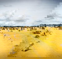 1 Day Pinnacles Wildlife  Sandboarding - Accommodation Kalgoorlie