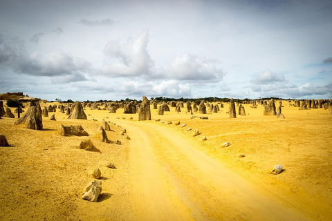 1 Day Pinnacles, Wildlife & Sandboarding - Accommodation Kalgoorlie 0