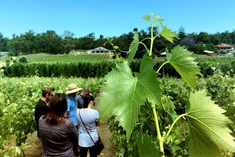 Premium Cider, Wine & Whiskey Tour - Small Group Full-Day Tour From Perth - Accommodation Kalgoorlie 6