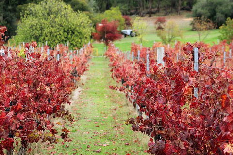 Premium Cider, Wine & Whiskey Tour - Small Group Full-Day Tour From Perth - Accommodation Kalgoorlie 12