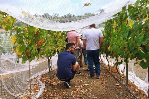 Premium Cider, Wine & Whiskey Tour - Small Group Full-Day Tour From Perth - Accommodation Kalgoorlie 7