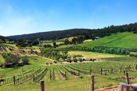 Cider, Wine & Cheese In The Perth Hills - Half-Day Premium Small Group Tour - Accommodation Kalgoorlie 1