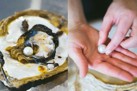 Pearl Master Class â€“ Perth - Accommodation Kalgoorlie 1