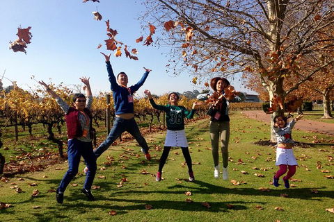 Swan Valley Half-Day Food And Wine Tasting Tour - Accommodation Kalgoorlie 8