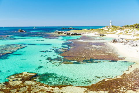 Rottnest Island Fast Ferry From Hillarys Boat Harbour Including Bike Hire - Accommodation Kalgoorlie 3