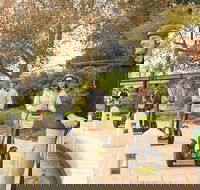 Perth East Foreshore and City Segway Tour - Accommodation Kalgoorlie