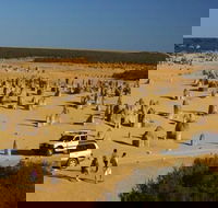 1-Day Pinnacles and Yanchep Tour from Perth including Fish and Chips Lunch - Accommodation Kalgoorlie