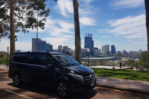 1-Day Pinnacles And Yanchep Tour From Perth Including Fish And Chips Lunch - Accommodation Kalgoorlie 1