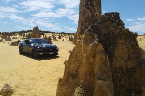 Pinnacles Mustang V8 Full Day Including Swan Valley, Caversham Wildlife Park - Accommodation Kalgoorlie 0