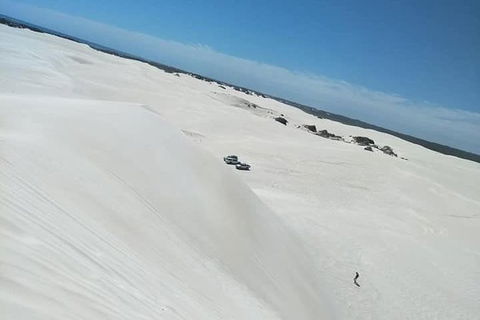 Yanchep & Lancelin - Wildlife, Cave And Sands - Accommodation Kalgoorlie 3