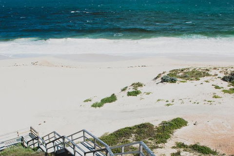 Yanchep & Lancelin - Wildlife, Cave And Sands - Accommodation Kalgoorlie 4