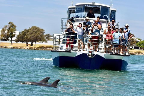 Mandurah Dolphin And Scenic Marine Cruise - Accommodation Kalgoorlie 0