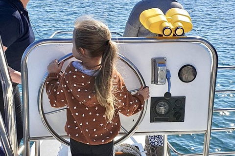 Mandurah Dolphin And Scenic Marine Cruise - Accommodation Kalgoorlie 10