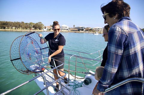 Mandurah Dolphin And Scenic Marine Cruise - Accommodation Kalgoorlie 16