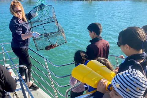 Mandurah Dolphin And Scenic Marine Cruise - Accommodation Kalgoorlie 18