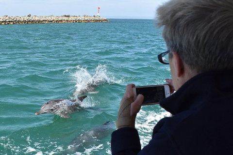 Mandurah Dolphin Island Adventure - Accommodation Kalgoorlie 0