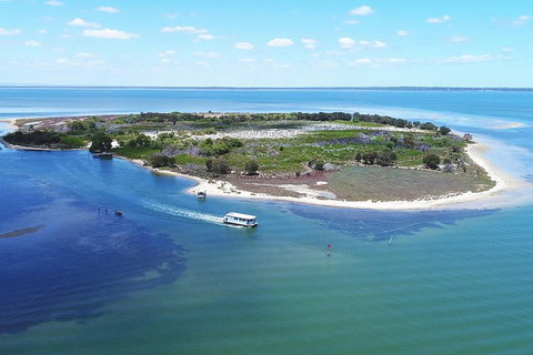Mandurah Dolphin Island Adventure - Accommodation Kalgoorlie 8