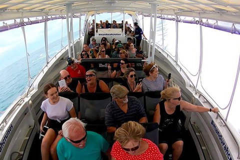 Mandurah Dolphin Island Adventure - Accommodation Kalgoorlie 12