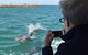 Mandurah Dolphin Island Adventure - thumb 2