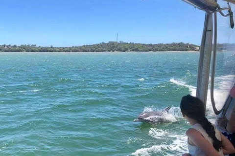 Mandurah Dolphin Island Adventure - Accommodation Kalgoorlie 9