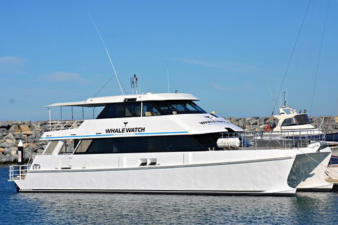 Whale-Watching Tour From Augusta Or Perth With Optional Captain\'s Lounge Upgrade - Accommodation Kalgoorlie 5