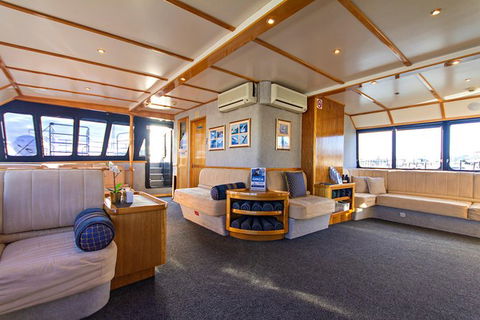 Whale-Watching Tour From Augusta Or Perth With Optional Captain\'s Lounge Upgrade - Accommodation Kalgoorlie 6