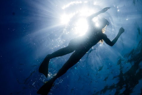 Ningaloo Reef Or Muiron Islands Snorkeling And Wildlife Adventure - Accommodation Kalgoorlie 6