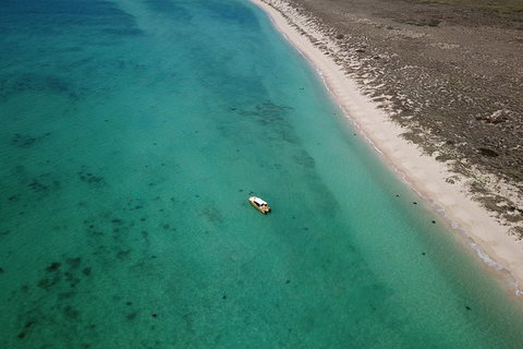Ningaloo Reef Or Muiron Islands Snorkeling And Wildlife Adventure - Accommodation Kalgoorlie 10