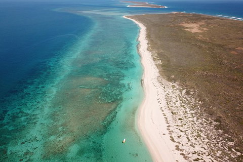 Ningaloo Reef Or Muiron Islands Snorkeling And Wildlife Adventure - Accommodation Kalgoorlie 9