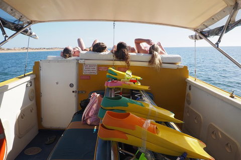 Ningaloo Reef Or Muiron Islands Snorkeling And Wildlife Adventure - Accommodation Kalgoorlie 11