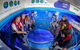 Glass Bottom Boat Adventure And AQWA General Entry Ticket - thumb 0