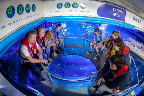 Glass Bottom Boat Adventure And AQWA General Entry Ticket - Accommodation Kalgoorlie 0
