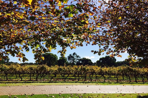 Wine Tasting Day Trip And Swan Valley River Cruise To Perth - Accommodation Kalgoorlie 5