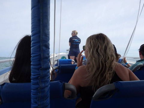 Penguin Island Tour With Dolphin And Sea Lion Cruise - Accommodation Kalgoorlie 2