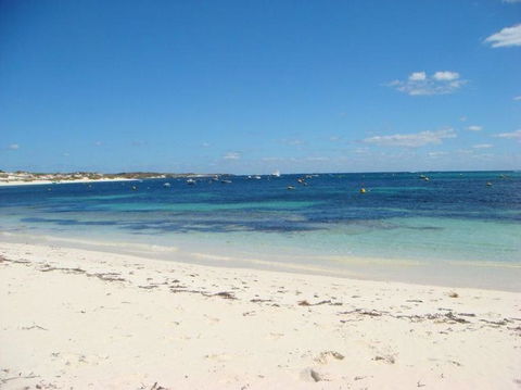 Rottnest Island With Bike Hire From Perth Or Fremantle - Accommodation Kalgoorlie 24