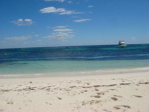 Rottnest Island With Bike Hire From Perth Or Fremantle - Accommodation Kalgoorlie 25